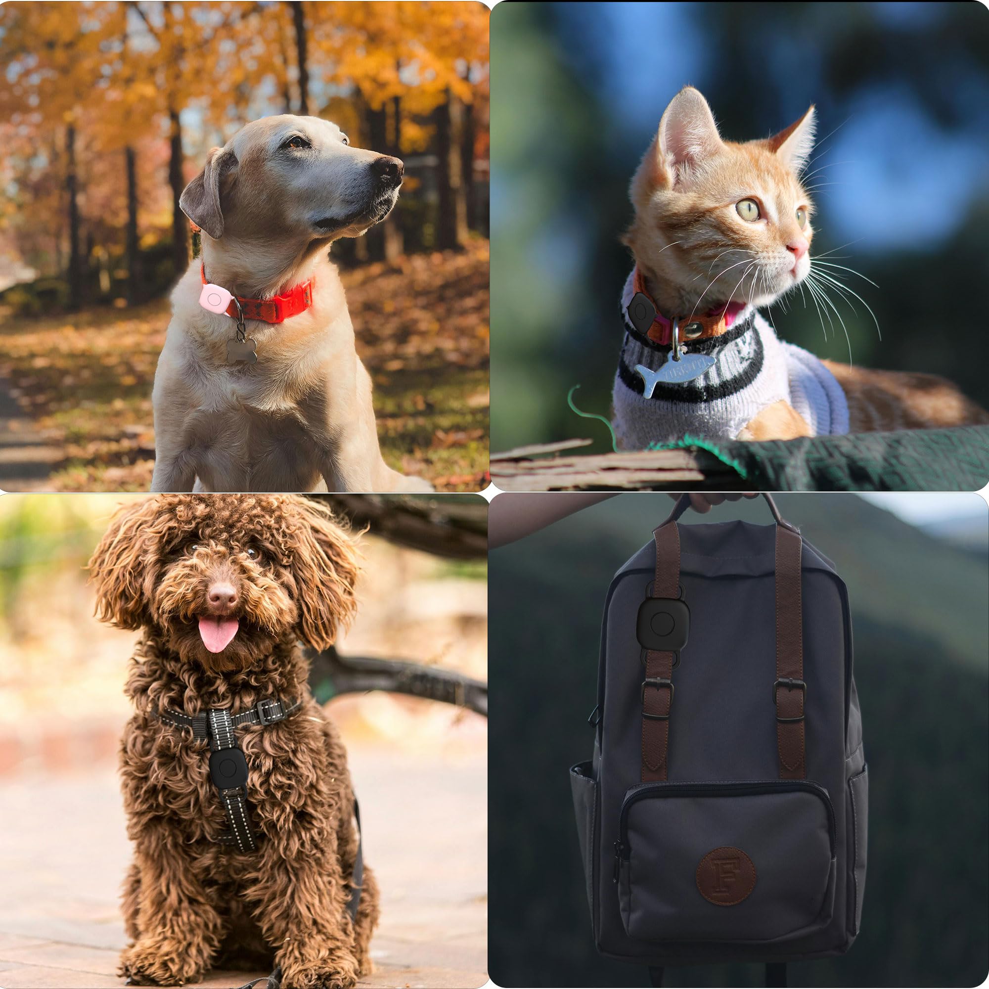 Waterproof Dog Collar Holder for Tile Life360 Mate [2024] 2022 Tracker, Anti Lost Soft Silicone Case for Cat Pet Necklace, Full Body Covered Protective Accessories for Tile Tracker Finder, Black - image 5
