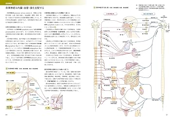 構造医学解析 I 進行性骨化性線維異形成症の異所性骨は神経堤細胞から作られる