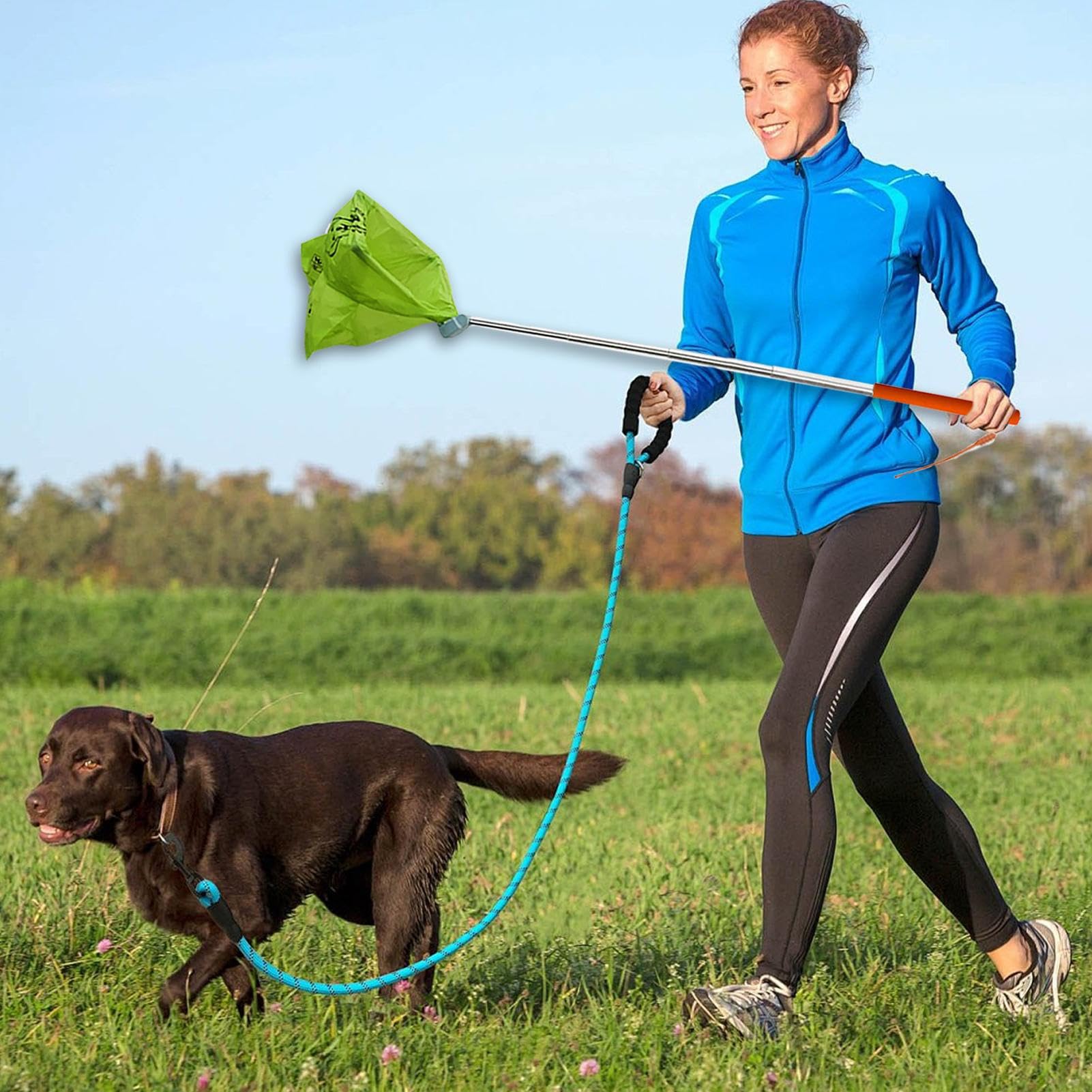 Hundeabfall-Scooper – Tragbares Kackaufsammeln für Haustiere, Robustes Design | gefederter Griff, einfach zu bedienender Müllreiniger