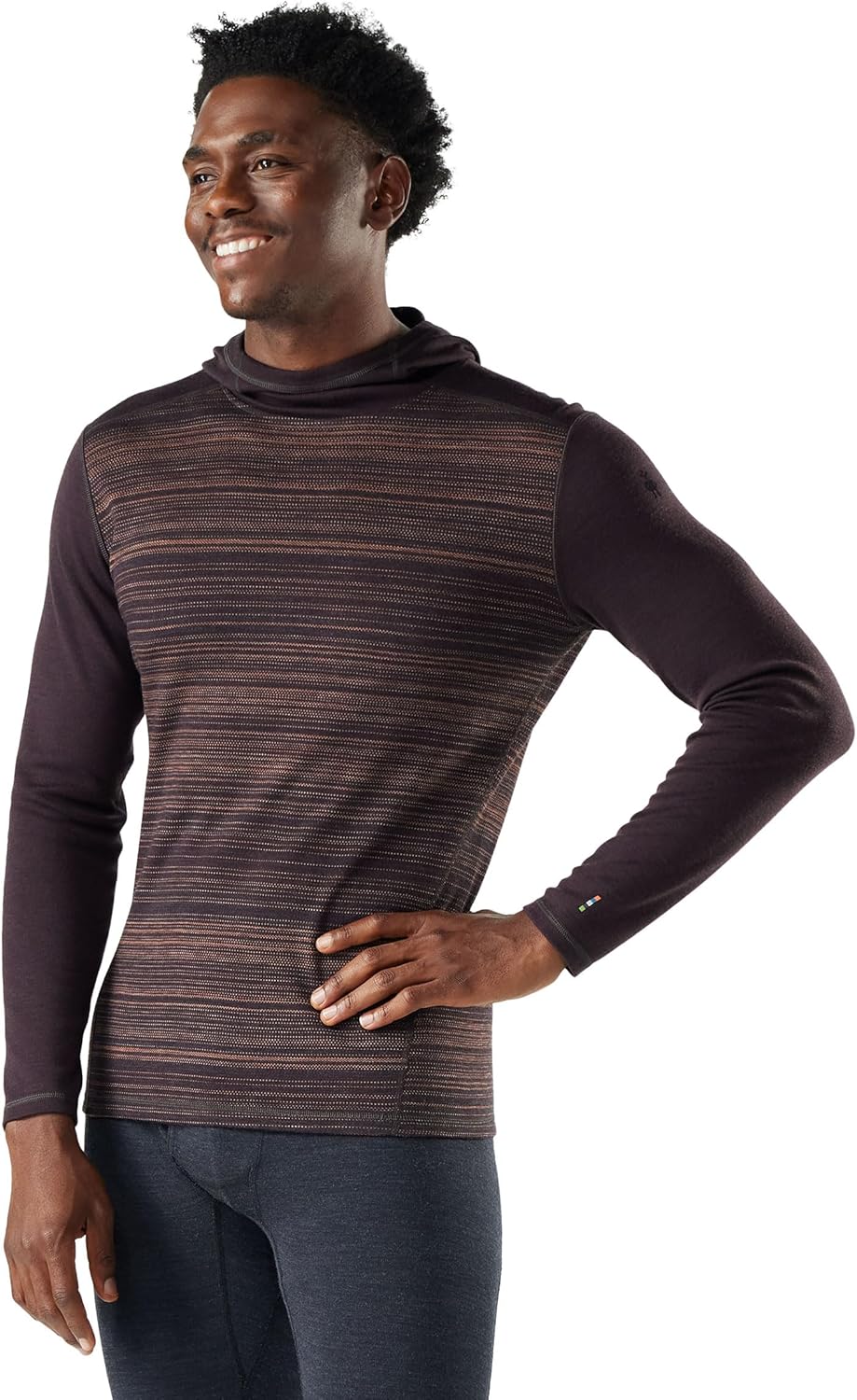 Smartwool Men's Merino 250 Base Layer Hoodie