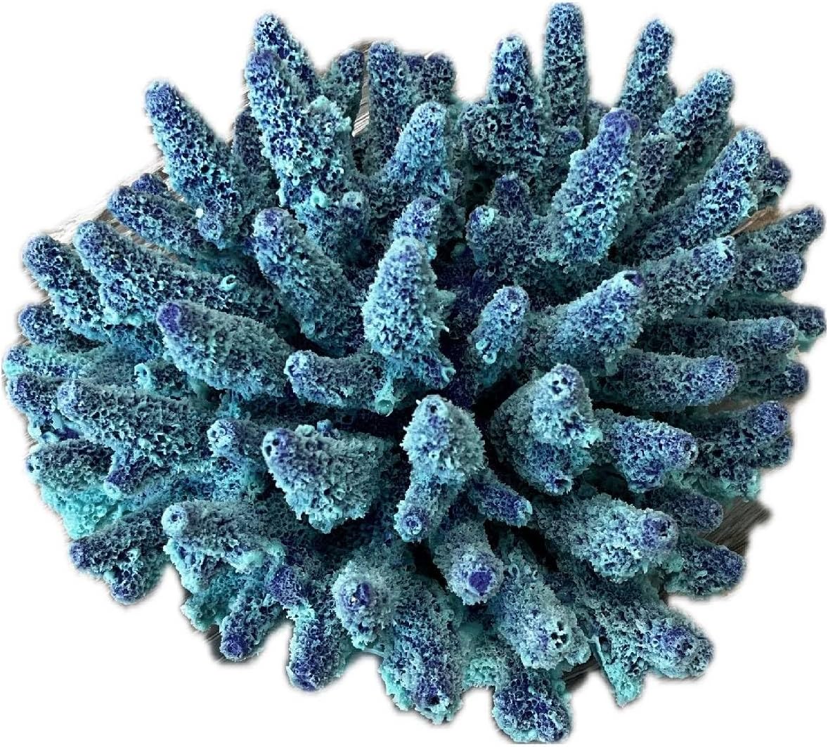 Ocean Aquaria Medium Acropora Gemmifera – Artificial Coral for Fish Tank & Aquarium Decor – #101 (Purple)