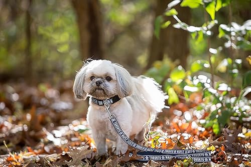 Vista 52 de Pets First NHL Pittsburgh - Correa de pingüinos para perros y gatos, mediana. ¡Camina linda y elegante! La mejor correa para fanáticos del hockey