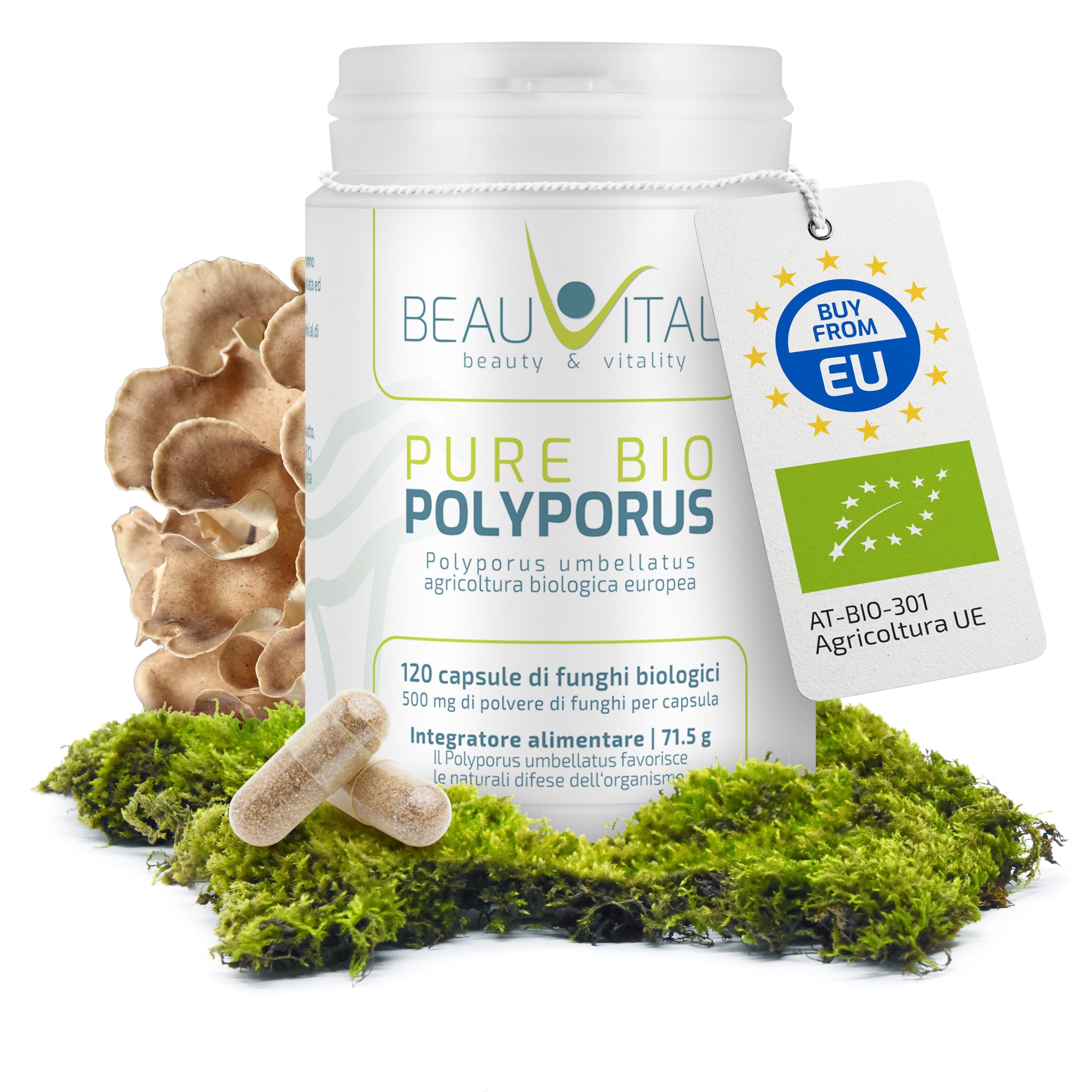 Pure Bio Polyporus capsule 120 x 500 mg polvere fungo polyporus umbellatus da agricoltura biologica UE, vegano, senza additivi artificiali