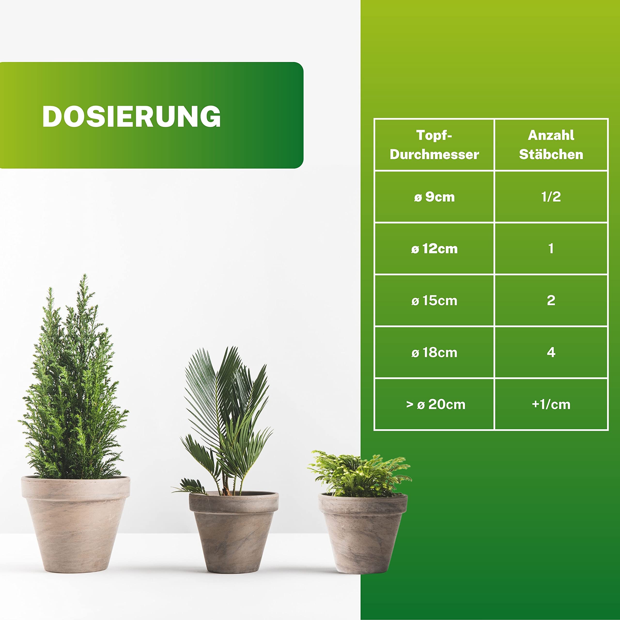 Greenyp 50x Universaldnger Grnpflanzen Dngestbchen fr alle  Grnpflanzen, Zimmerpflanzen und Balkonpflanzen I Langzeitdnger NPK Dnger  mit Extra Eisen und 3 Monate Dngekraft : Amazon.de: Garten