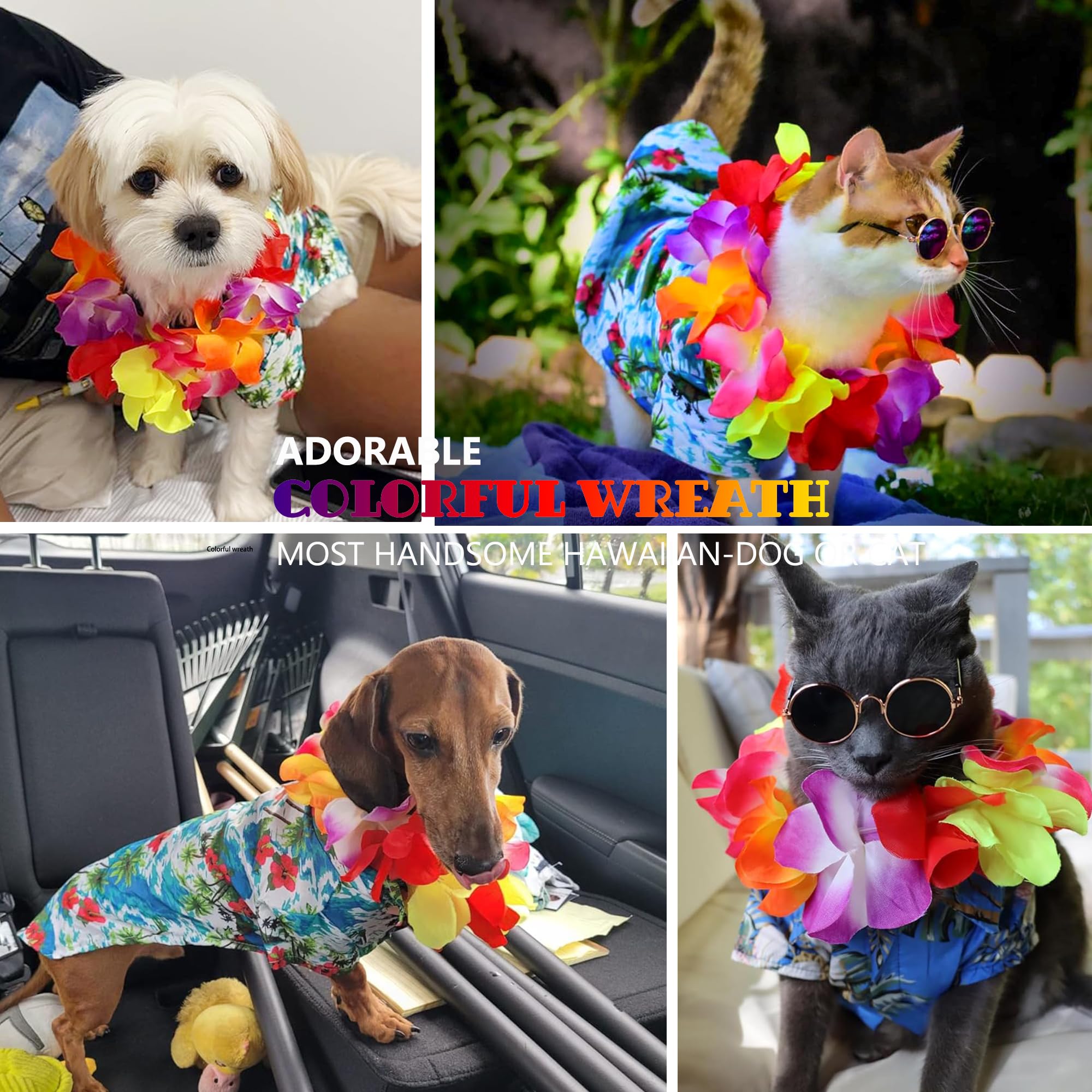 Hund Pool Float, Lustige 6-in-1 Aufblasbare Hundeschwimmer für Pool, Haustier Floatie Floatie Floatie Float für Kleine Hunde, Welpen und Hunde