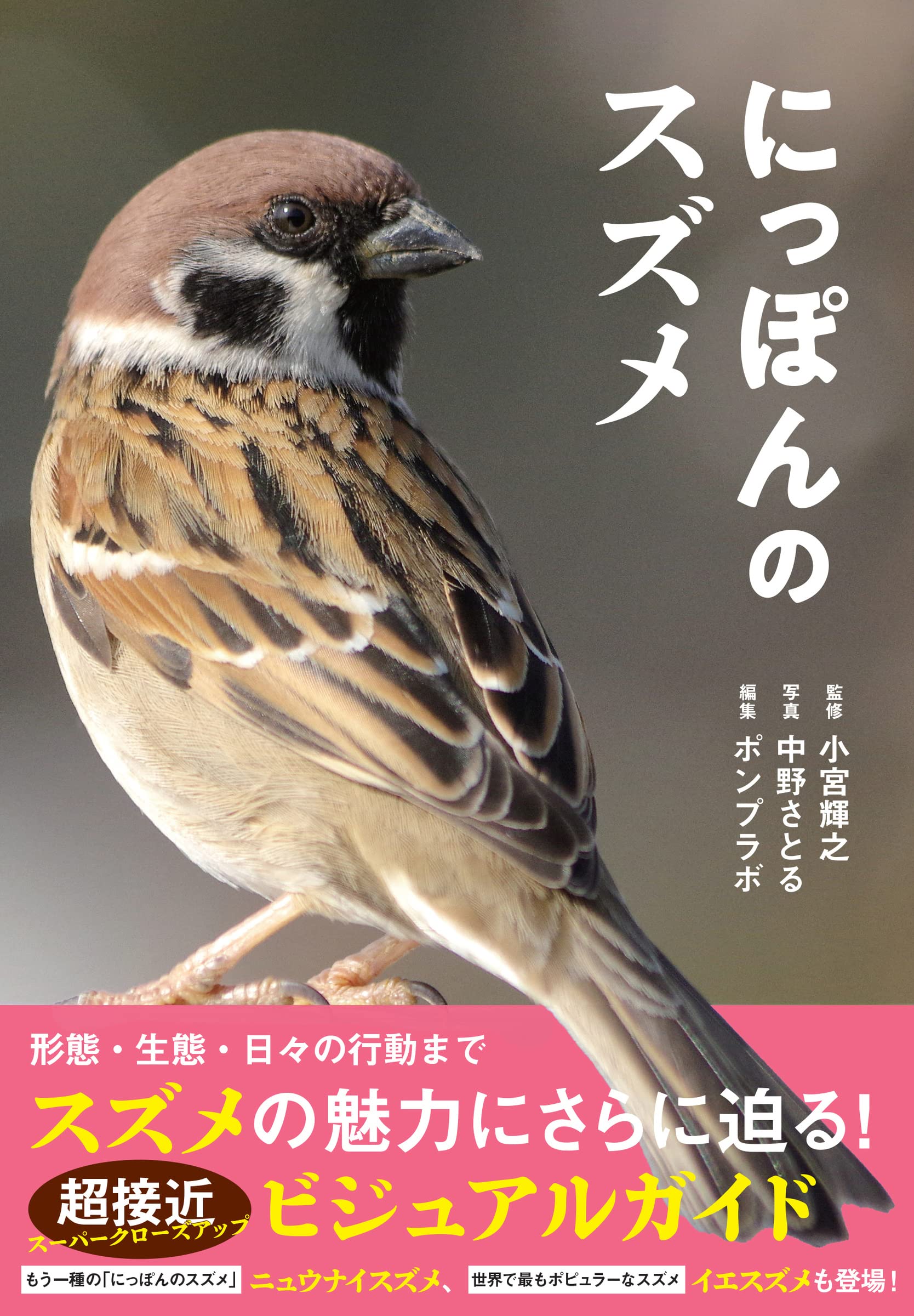 にっぽんのスズメ 小宮輝之 中野さとる 本 通販 Amazon