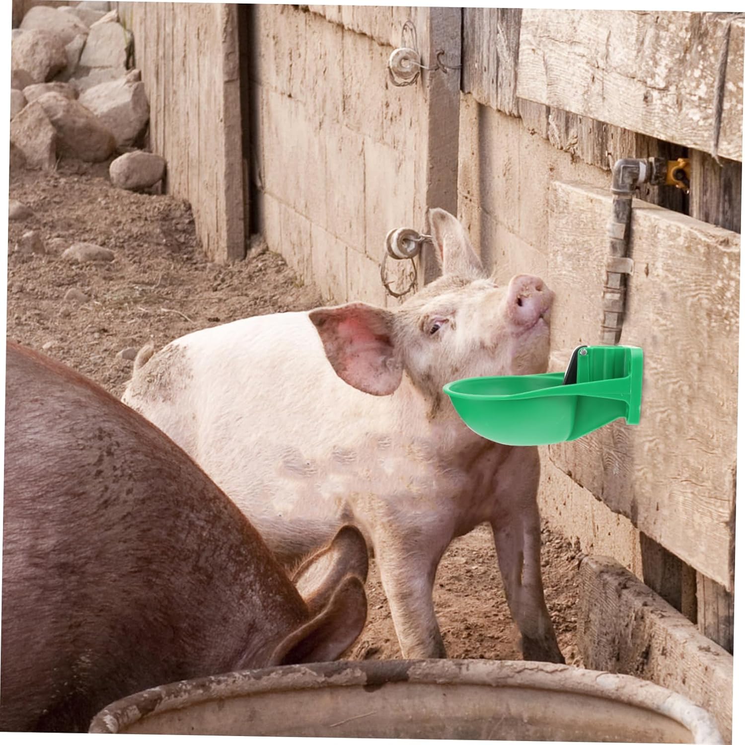 Cattle Automatic Waterer Plastic Livestock Water Bowl Design for Sheep Pig