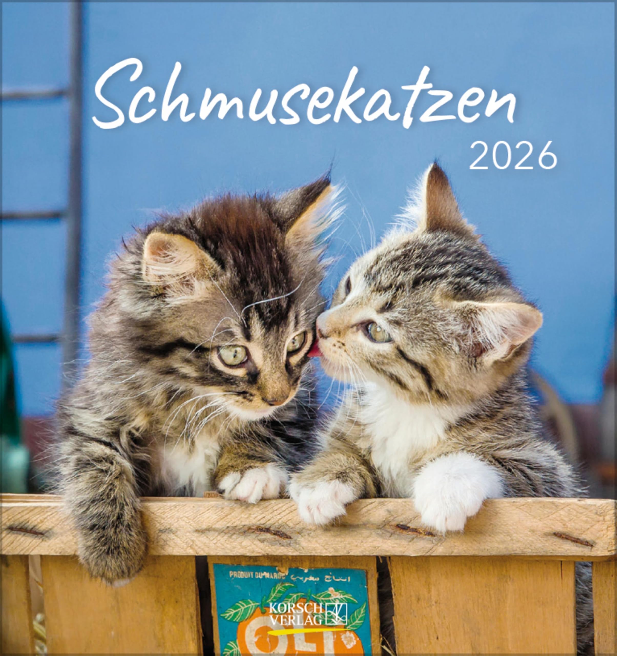 Schmusekatzen 2026: aufstellbarer Postkartenkalender