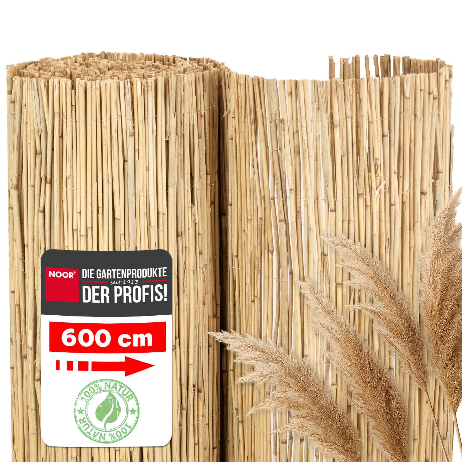 NOOR Panneau Brise-Vue en Roseau St. Tropez - 60 cm x 6 m - Naturel | Brise-vue en roseau pour balcon, terrasse et jardin - résistant aux intempéries à fixer sur une clôture - plus d'intimité