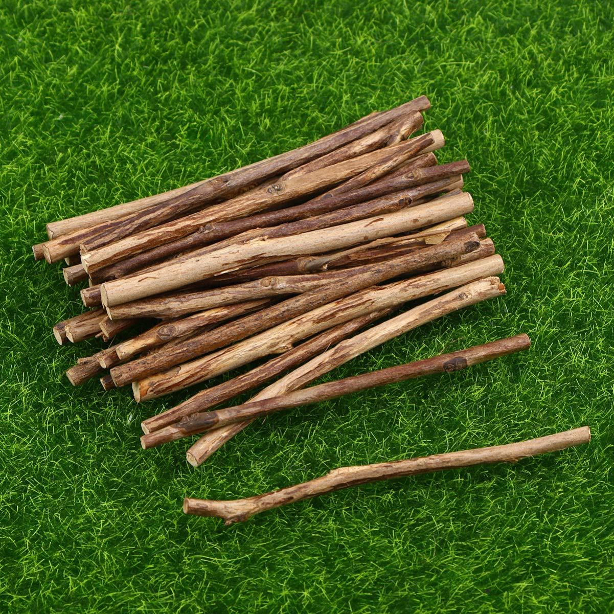 DOITOOL 100pcs lunghi bastoncini di legno dell'albero del tè diametro per fai da te, oggetti di scena fotografici e progetti creativi, colore naturale del legno