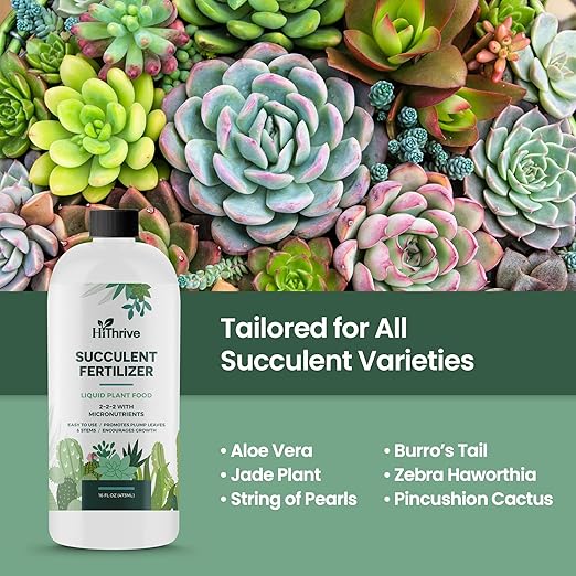 Fertilizante para Suculentas 16oz - 32 galones miniatura 6