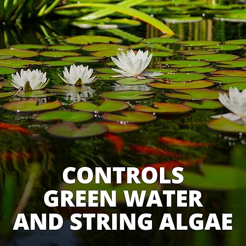 Miniatura 6 de TetraPond Tratamiento con control de algas