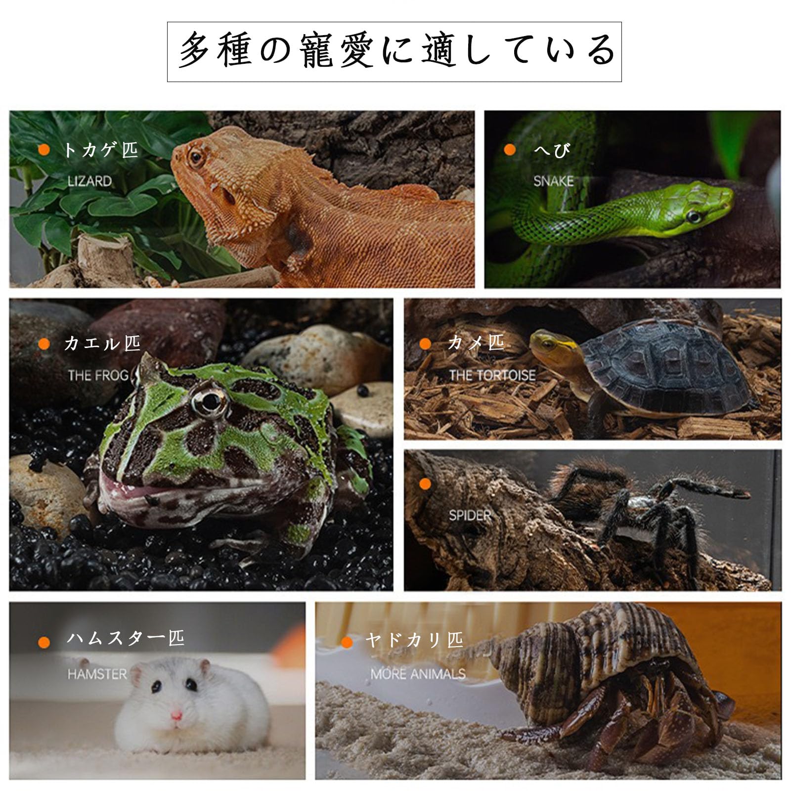 Amazon | haoyunshengyi 爬虫類 ケージ 飼育ケース 昆虫飼 透明 通気