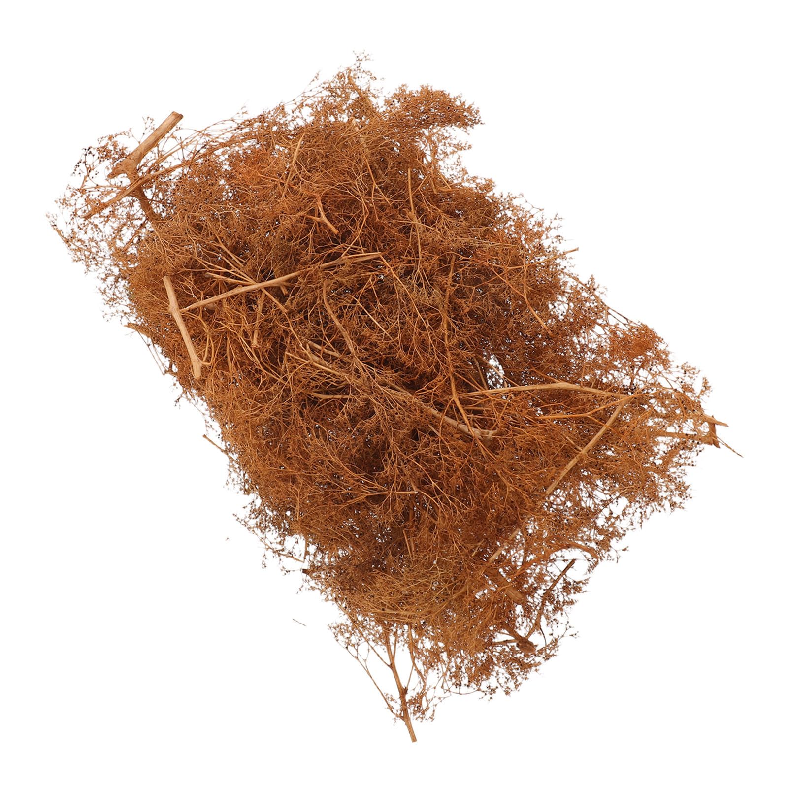 IDEANATEGRATE Miniature Tree Model for Creative Expansion and Sturdy Support with Thorn Bush Design 1 Box Dry Wood Branches for Diorama and Dollhouse Miniature Model Supplies