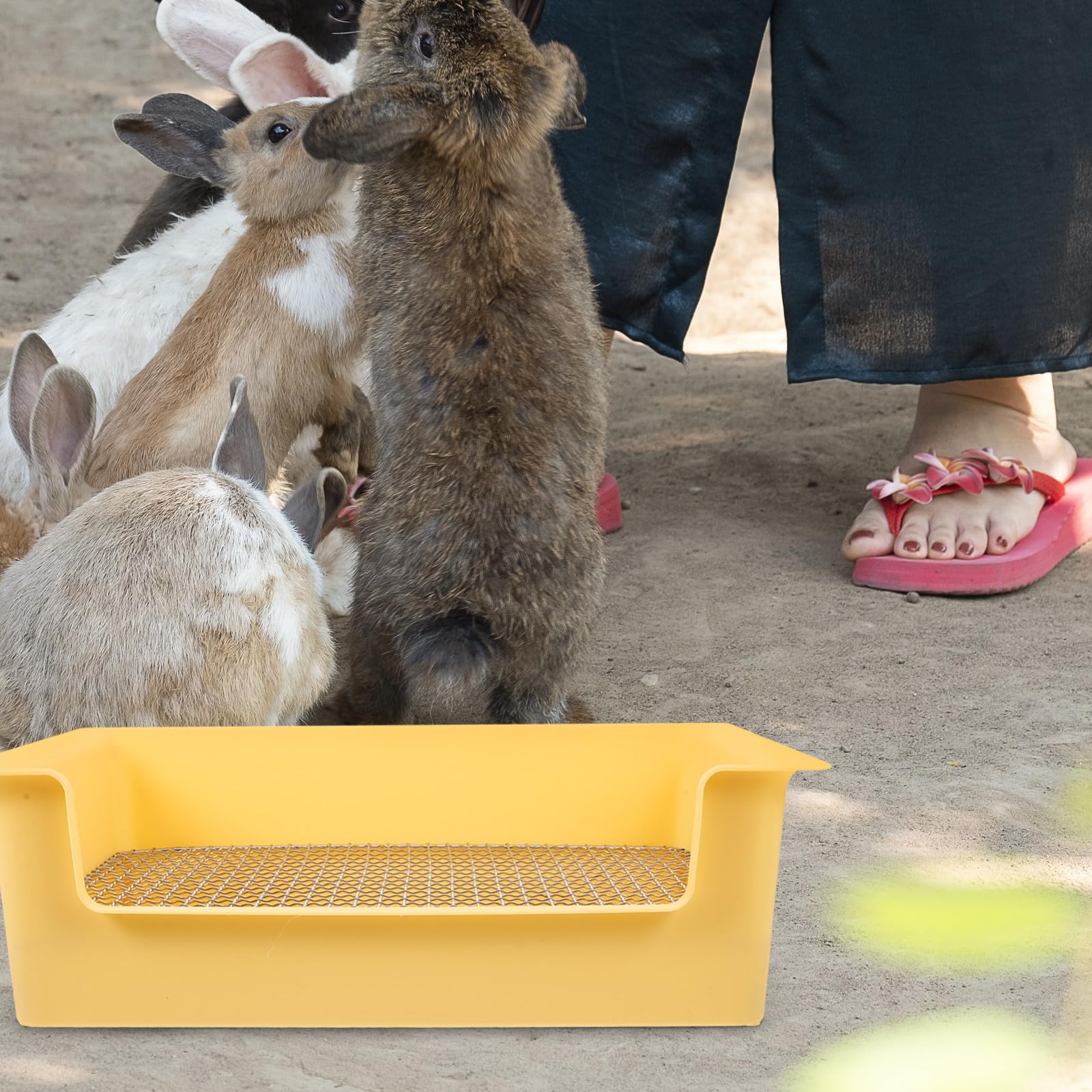 Cabilock Lettiera per Conigli e Piccoli Animali in Plastica, Vasino Rettangolare Portatile Bordi di Sicurezza, Adatta per Criceti, Porcellini D’India e Coniglietti da Interno, Uso in Casa