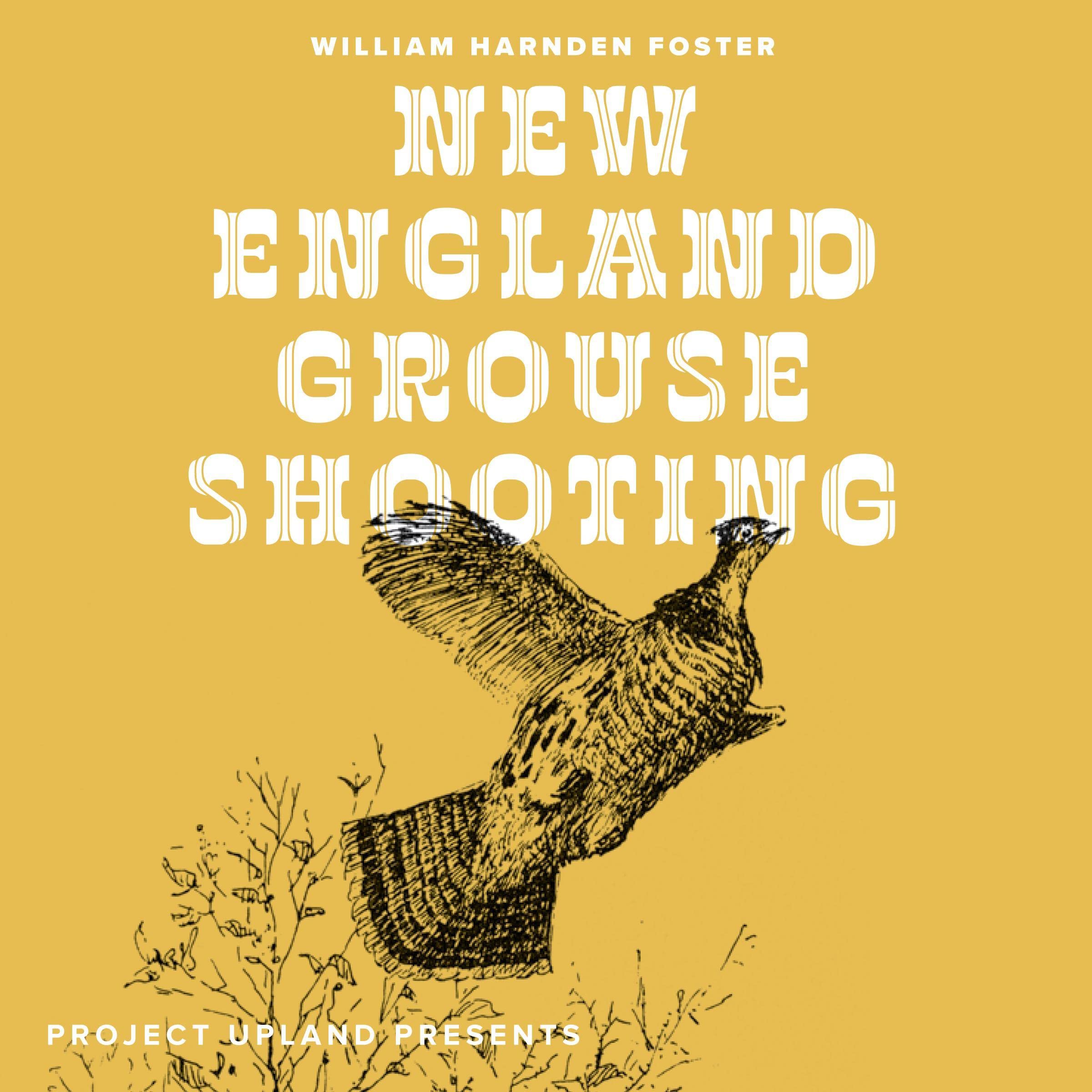Cover art for New England Grouse Shooting