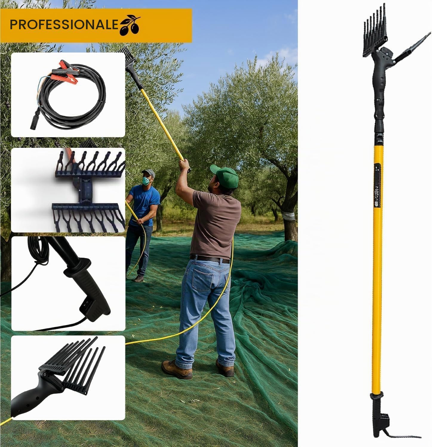 Abbacchiatore Elettrico per Olive 12V con Asta Telescopica in Alluminio 400w, Movimento Alternato 800 battiti/min, Pettine in Tecnopolimero, Cavo 15 m, Scuotitore Professionale Raccolta Olive