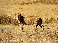 Review Image by MammaDi3Gatti MammaDi3Gatti