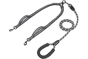 Dual Dog Leash | Tangle-Free | 360° Swivel & Shock Absorption