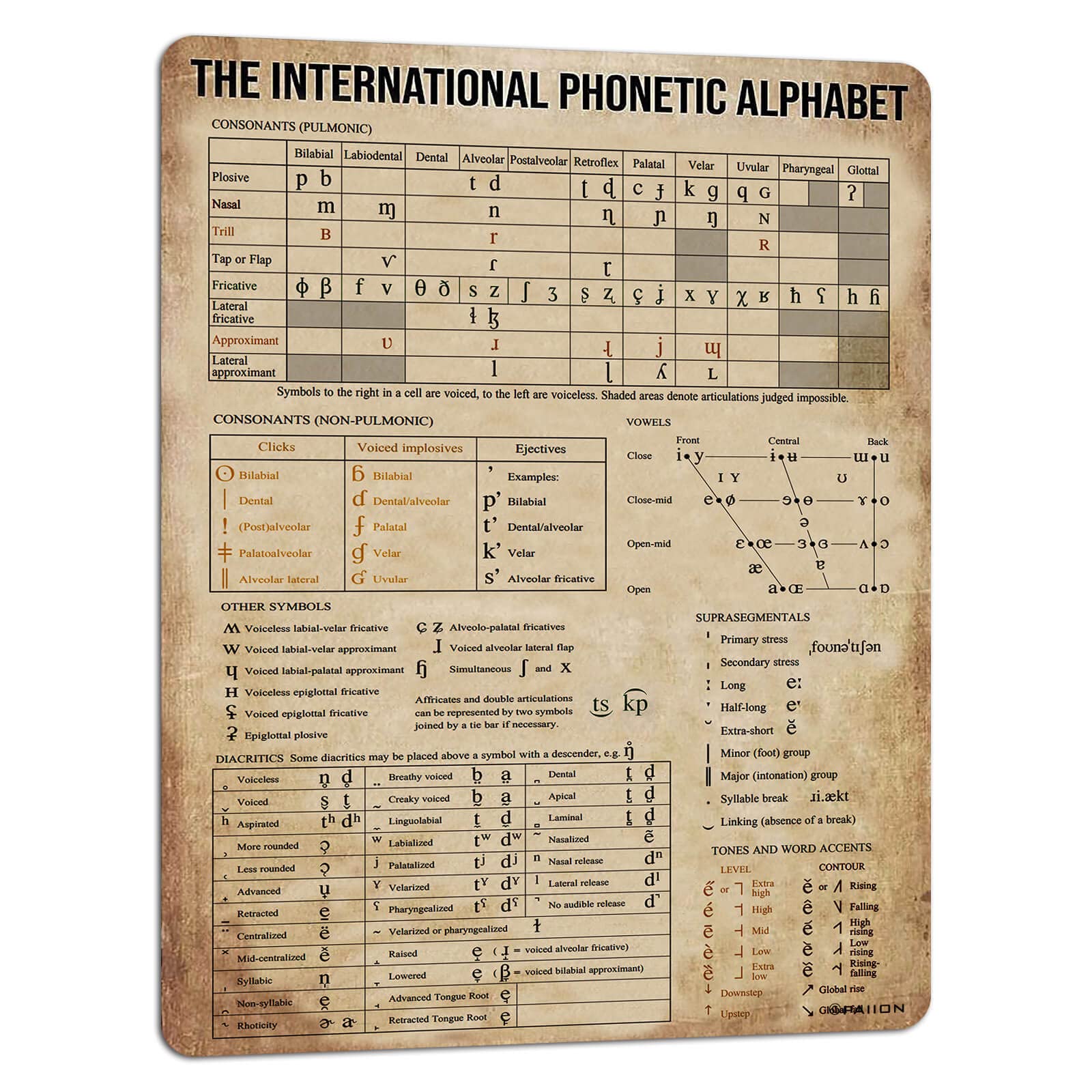 Phonetic Knowledge Metal Signs Retro Room Decor The International Phonetic Alphabet Posters Home Room Wall Decor Printedes 16x12 Inch
