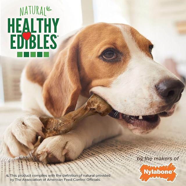 Foto 6 de 8 de Nylabone Healthy Edibles Wild Bison Flavored Bone Dog Chew Treat Medium 2 ct