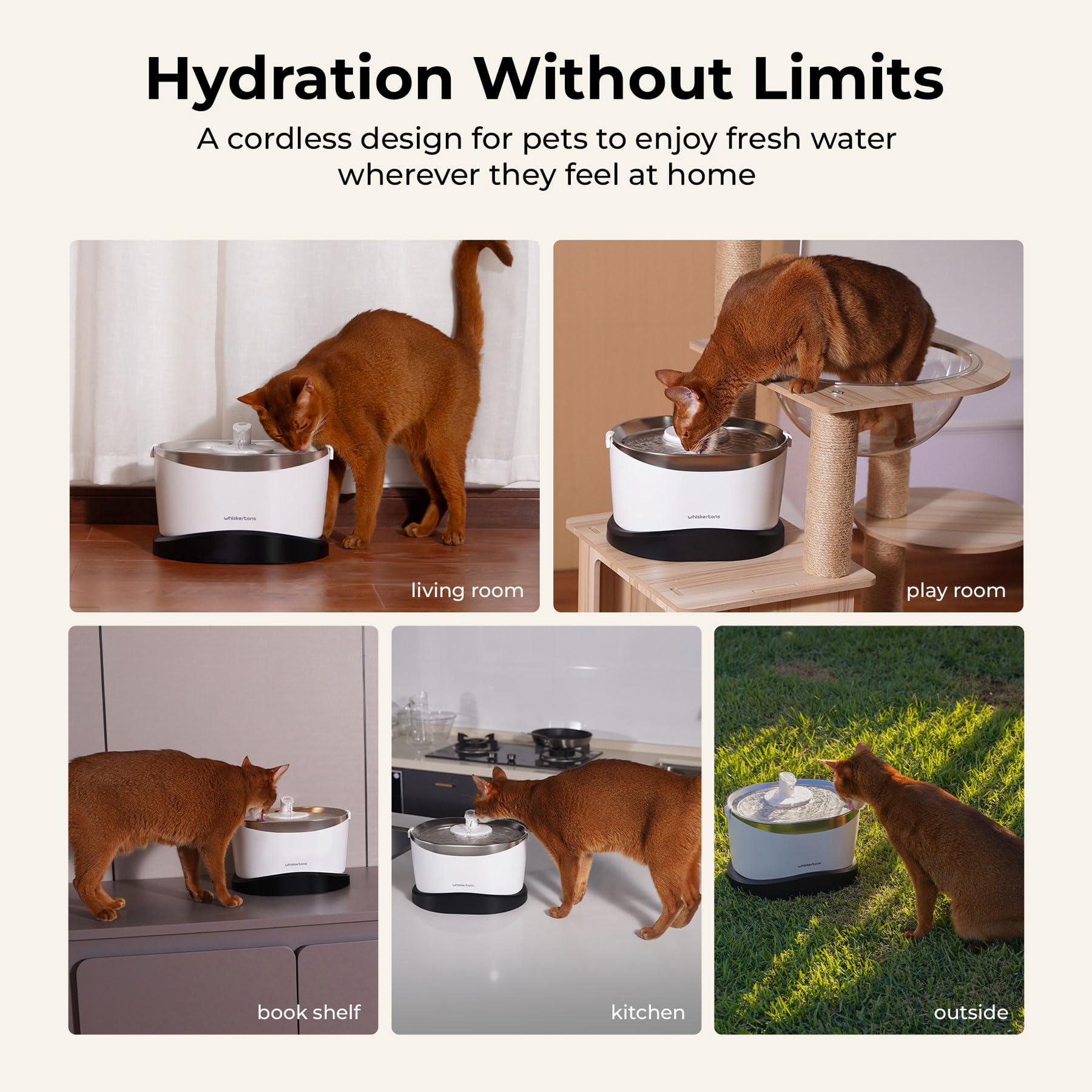 Whiskertons EverMount - Fontana d'acqua per animali domestici a batteria