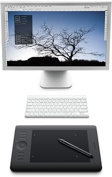 Wacom Professional Pen Tablet Small Intuos5 PTK-450/K0
