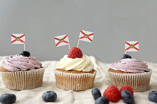 Vista 60 de JBCD Banderas pequeñas de Alaska para cupcakes de Alaska (100 piezas)