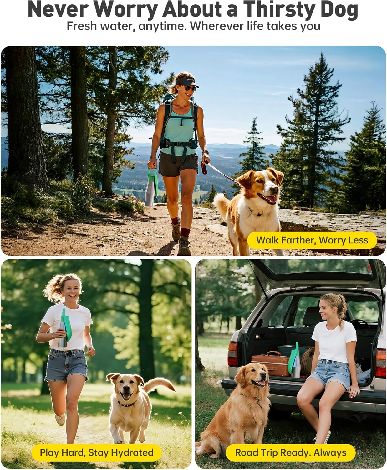 Stainless Steel Dog Water Bottle - 27 oz