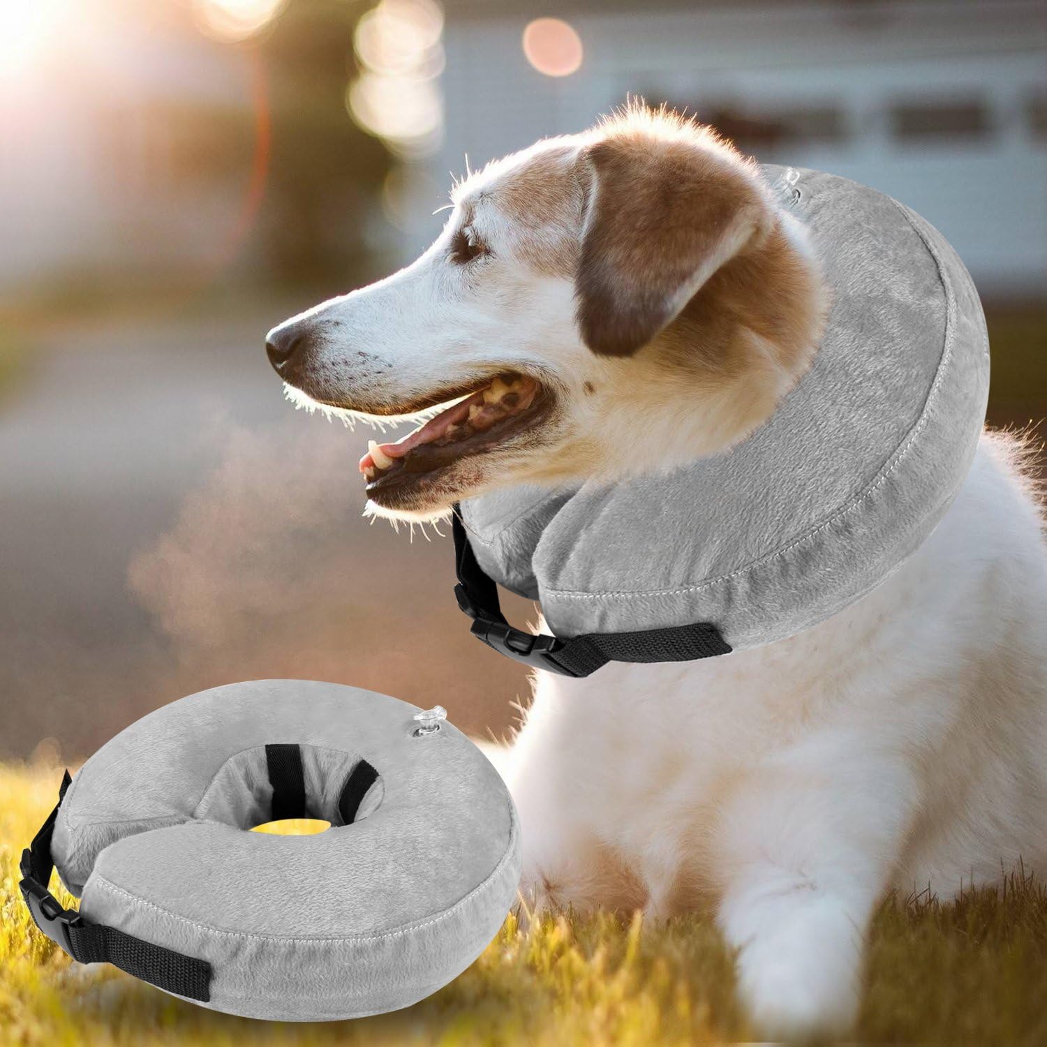 Airsspu Dog Cone Collar Soft - Soft Pet Recovery E-Collar Cone for Small Medium Large Dogs, Designed to Prevent Pets from Touching Stitches - Large