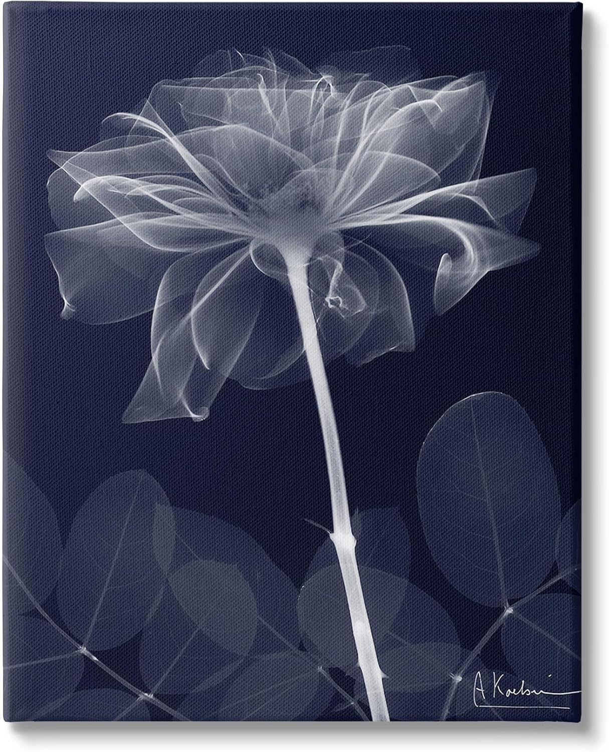 Stupell Industries Dark Flower Shape Canvas Wall Art by Albert Koetsier