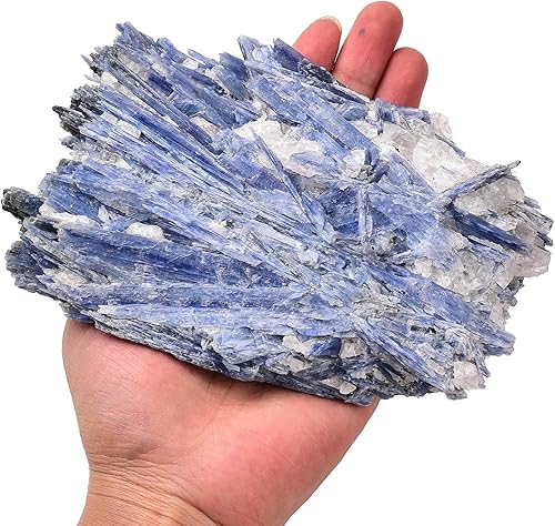 Miniatura 2 de JIC Gem Cristal curativo mineral bruto natural de cianita azul crudo irregular para decoración del hogar, 1 pieza de 1.54 a 1.98 libras