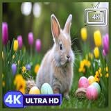 イースターバニー - 柔らかな草原の自然の音