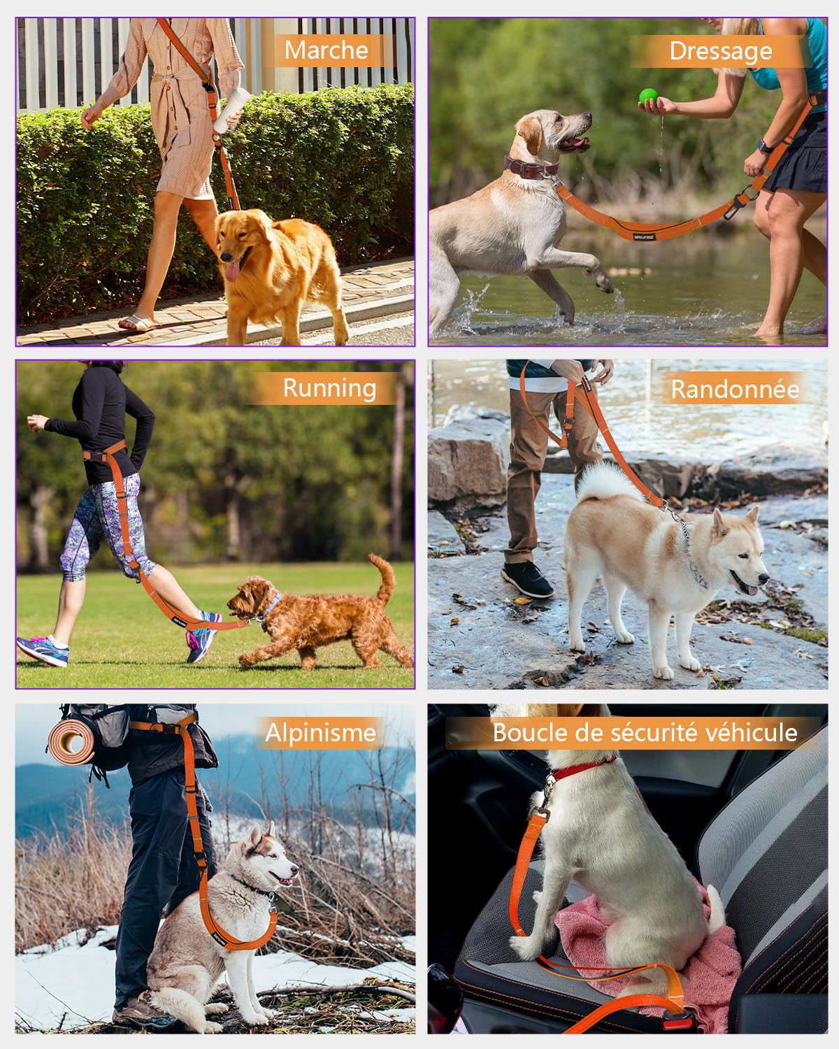 Harnais de Marche Main Libre pour Chien - Laisse Multifonctionnelle Renforcée 2.9m Réglable, Boucle de Sécurité Voiture (Orange)