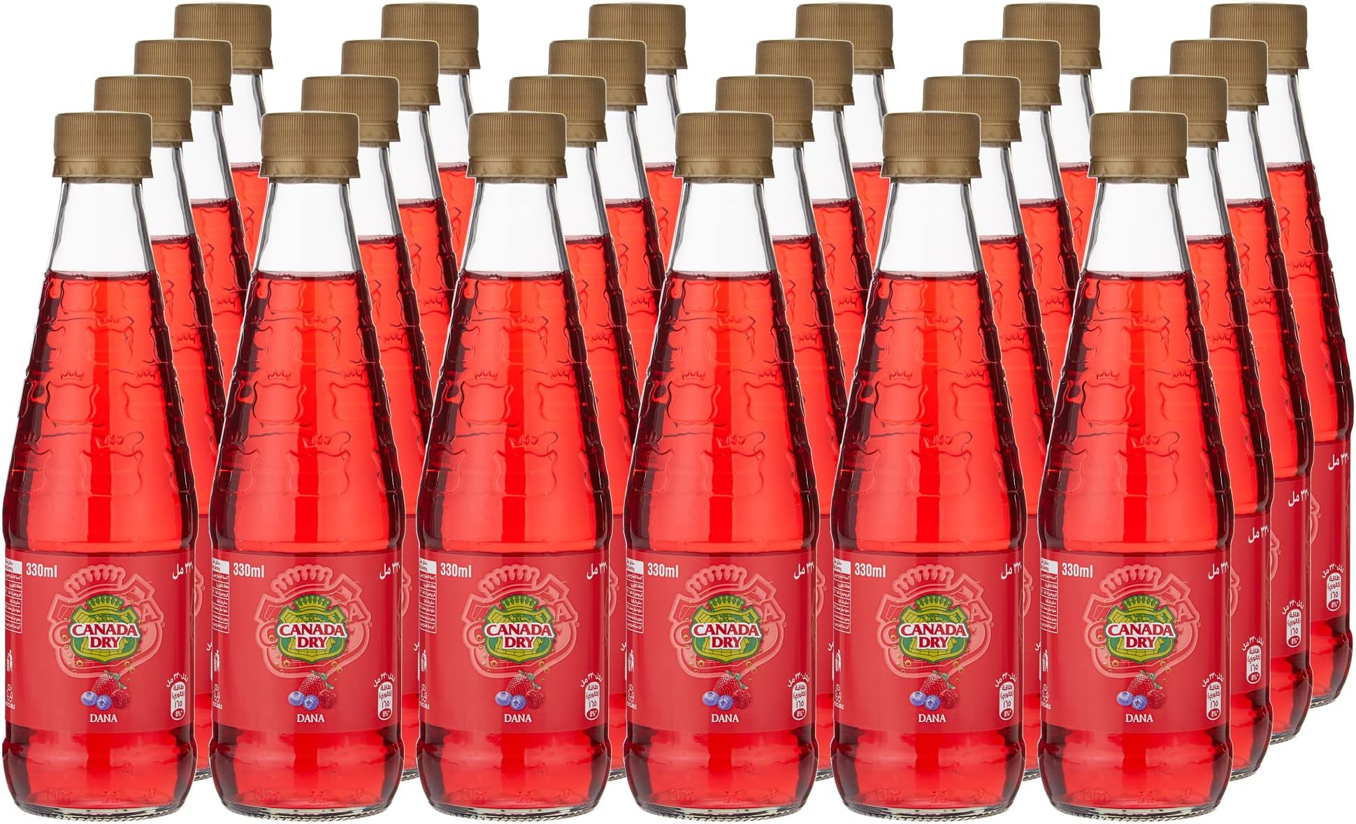 Canada Dry Dana Soft Drink Non-Returnable Bottle 24-Pieces 330 ml