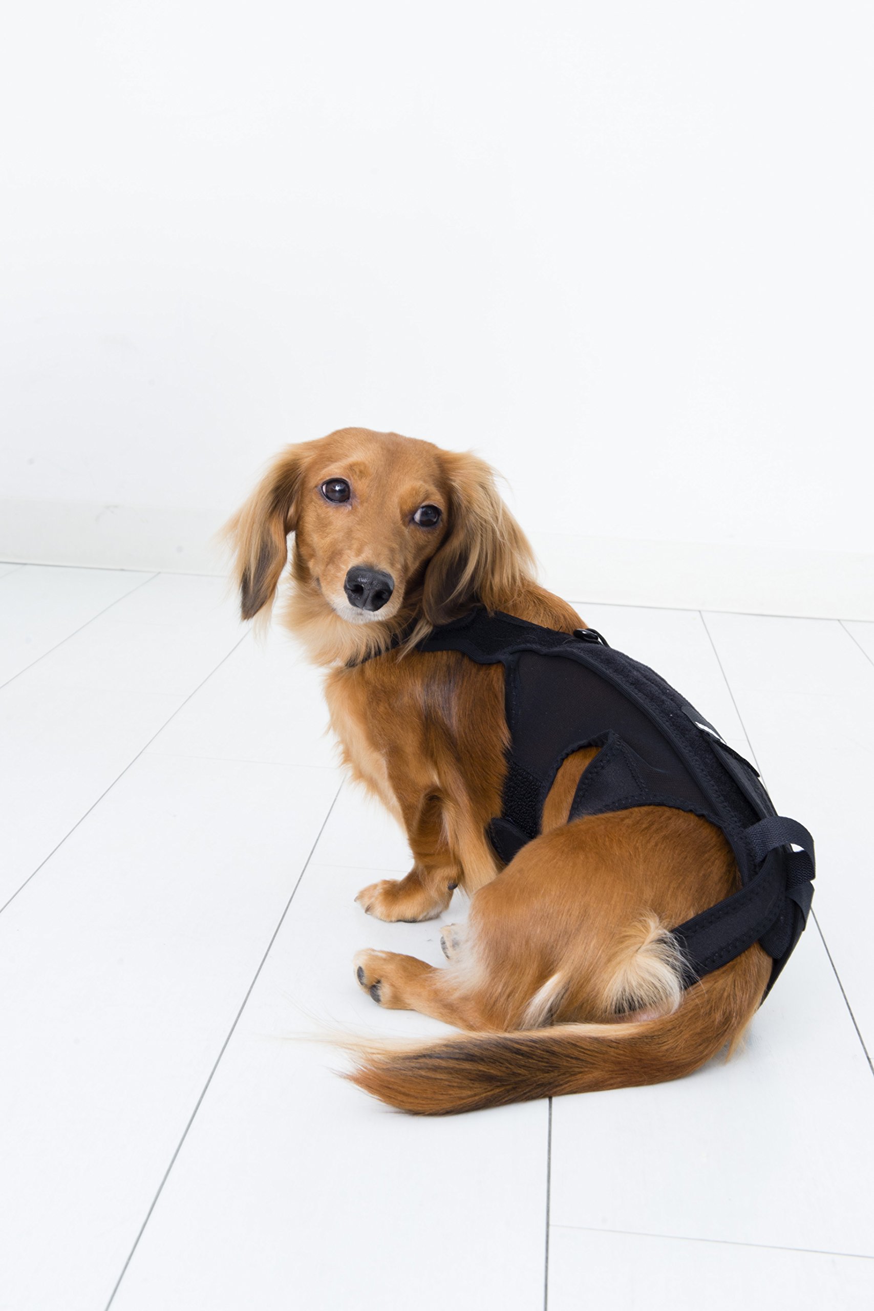 アニフル　わんコル レッド S 犬用 歩行補助ハーネス 介護 ♪未使用美品♪ Amazon | アニフル (anifull) わんコル その他 レッド 犬 M サイズ