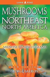 Mushrooms of Northeast North America: Midwest to New England