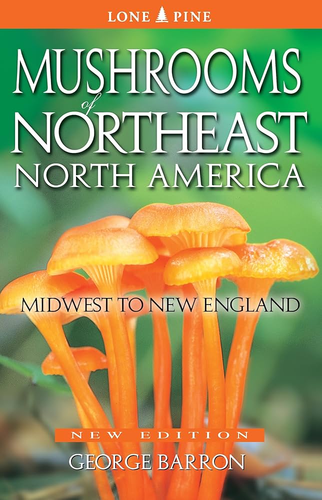 洋書 Mushrooms Great Encyclopedia of Mushrooms by Jean-Louis Lamaison