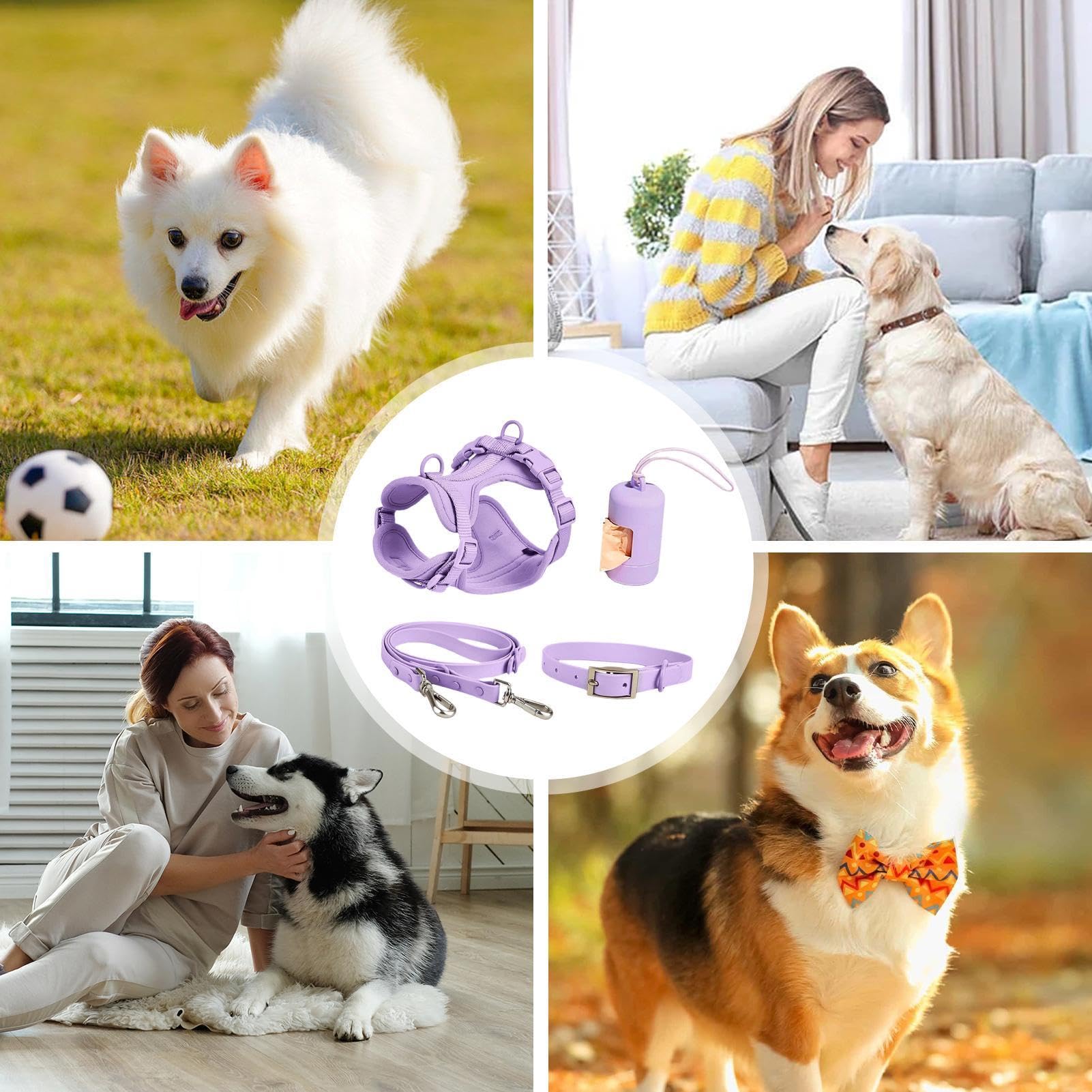 Hundegeschirr-Set für kleine Hunde, Hundeleinen-Set, Haustiergeschirr | Halsband und Leine im Set, Multifunktionales Leinen-Set für mittelgroße Hunde, leicht zu Fuß, für jeden Tag, verstellbares Hu