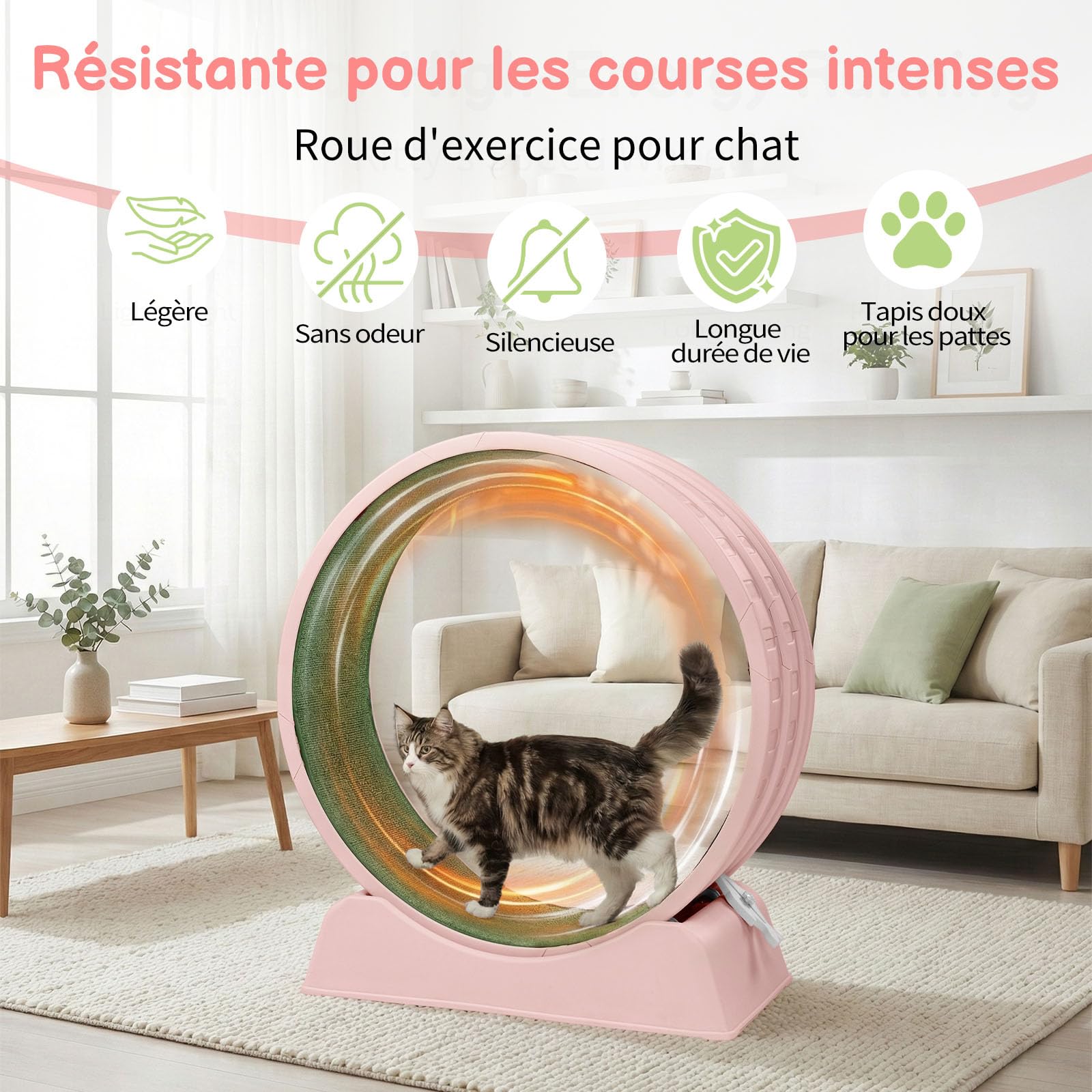 LEADZM Roue d'exercice pour Chat 80cm - Roue pour Chat pour 15 kg et Moins Chats - Connecteur de Rail en Plastique, résistant aux Rayures, Stable et Silencieux (Rose)