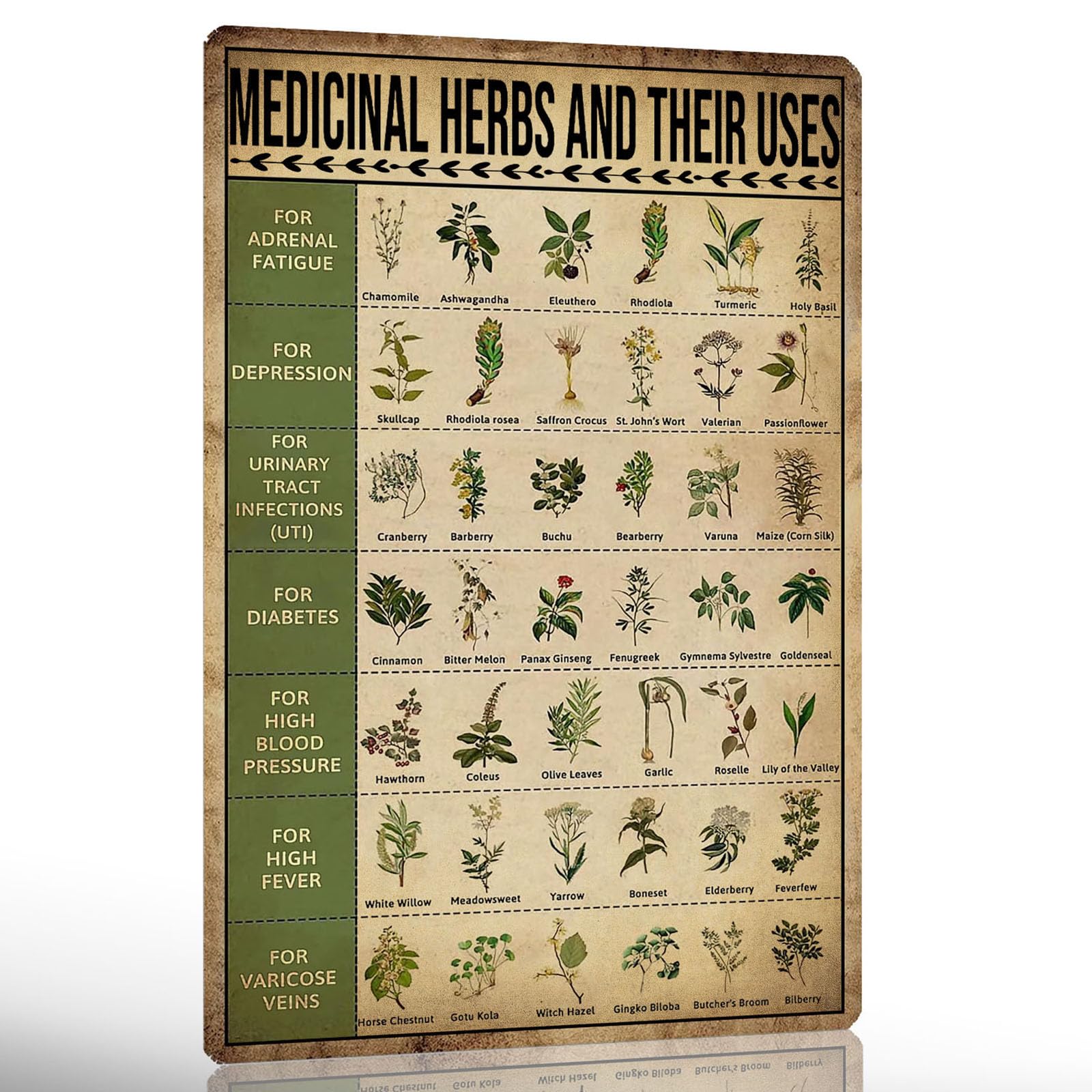 Ykfss Vintage Herb Knowledge Metal Tin Sign Homesteading Knowledge Poster Plant Signs Planting Guide Chart Herb Decor Medicinal Herbs And Their Uses Posters 8x12 Inch