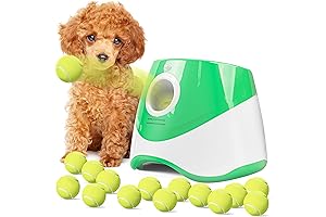Automatic Dog Chasing Toy - Bring Joy to Your Furry Friend's Yard Time