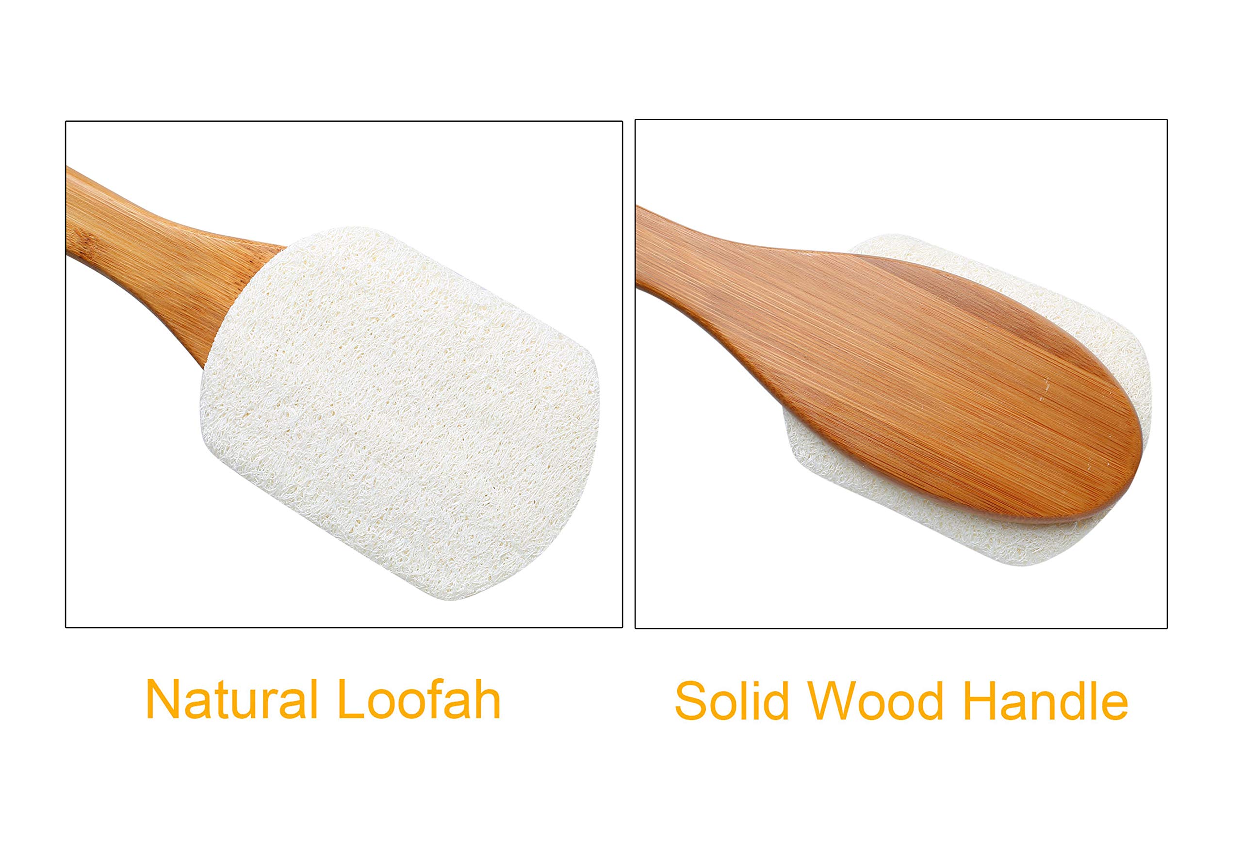 Leotruny Esponja exfoliante 100% natural con mango largo de madera para ducha (blanco roto (1 paquete)