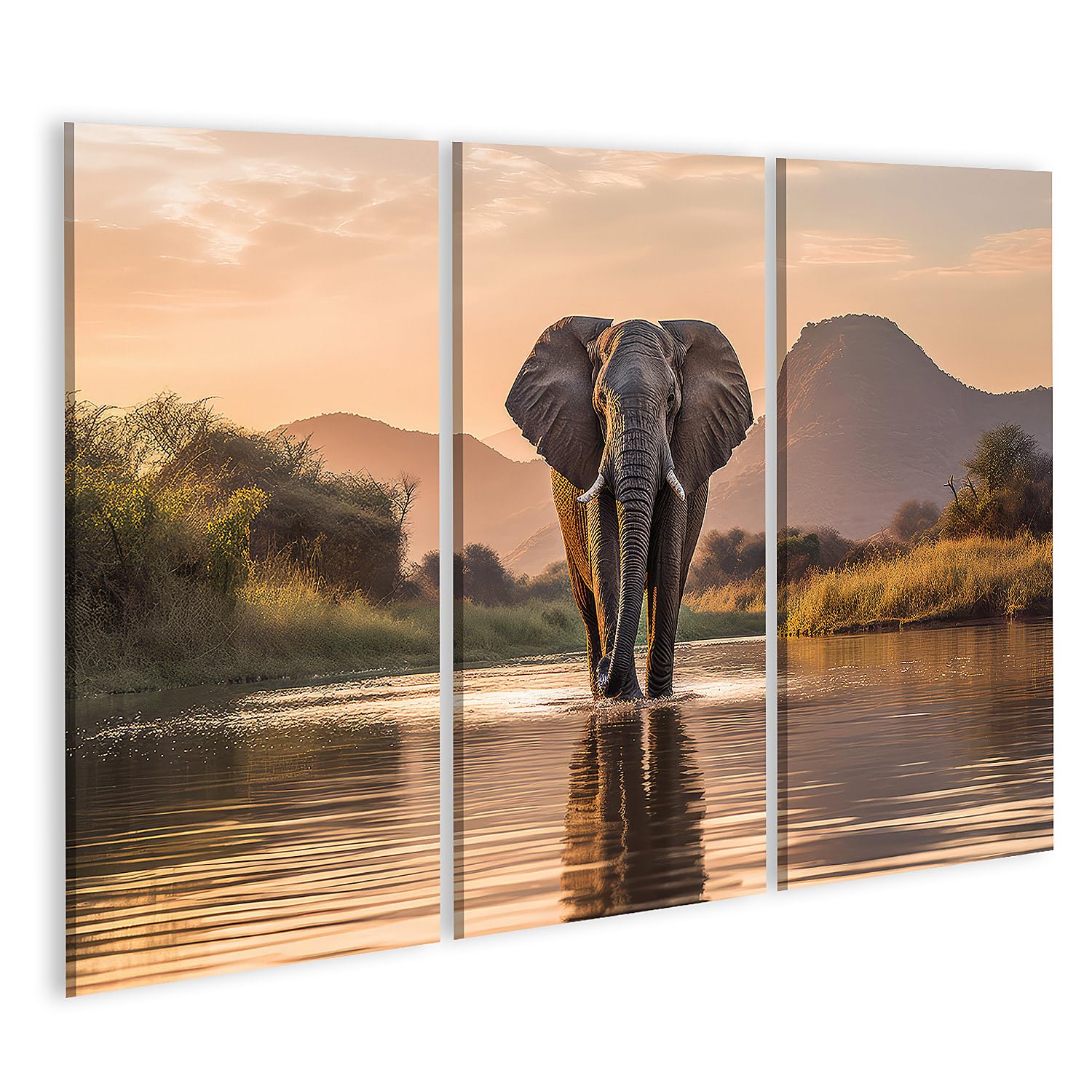 Tableau sur toile Éléphant poster déco murale salon africain