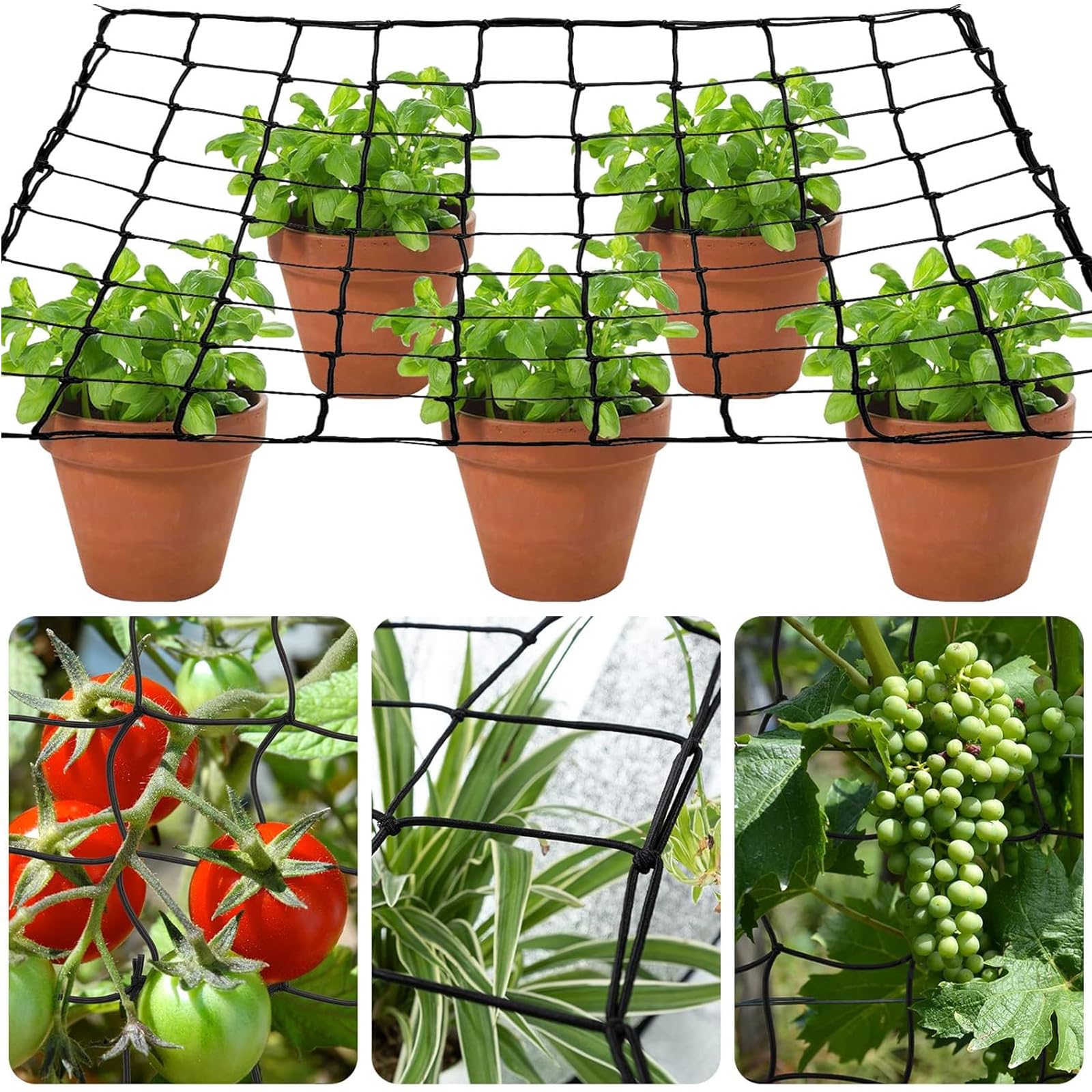 Filet De Tente De Culture 120x120 Cm - Élastique, 4 Crochets - Pour Plantes Grimpantes, Légumes, Fruits - 8