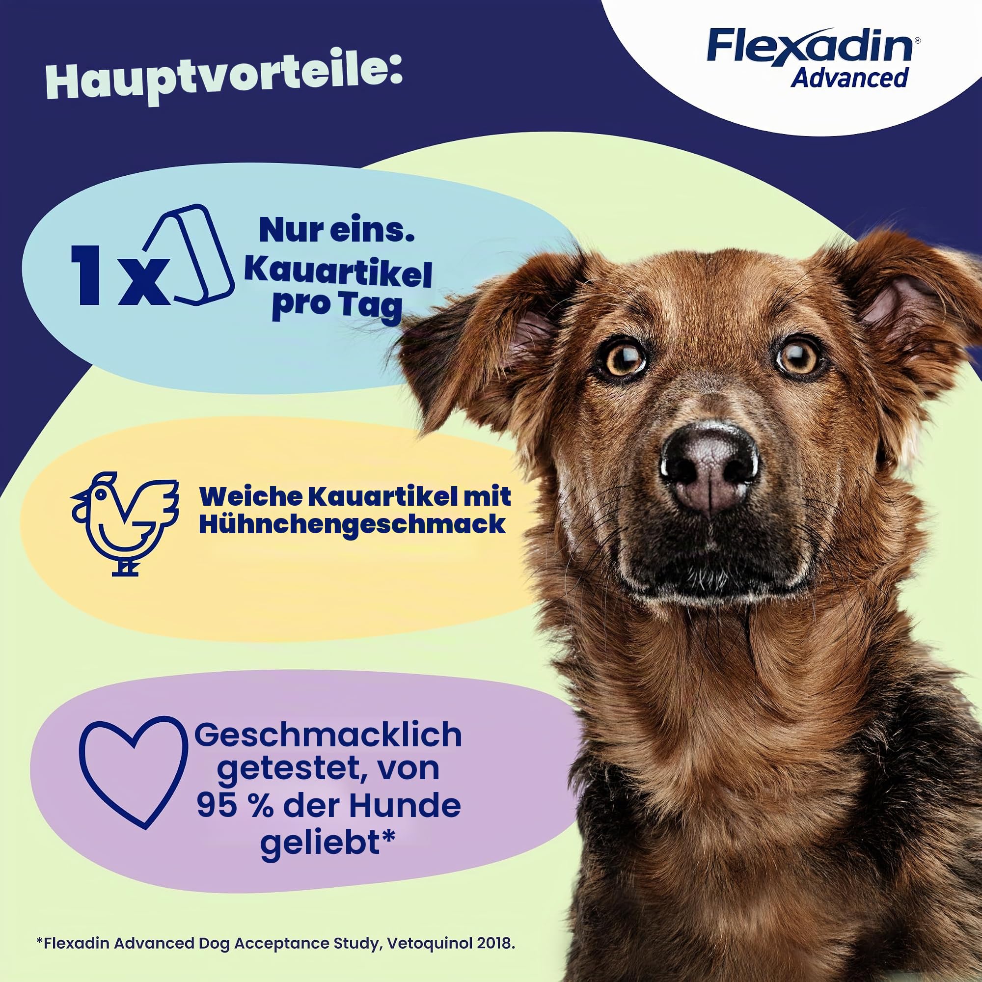 FLEXADIN ADVANCE BW PERRO 30CPD