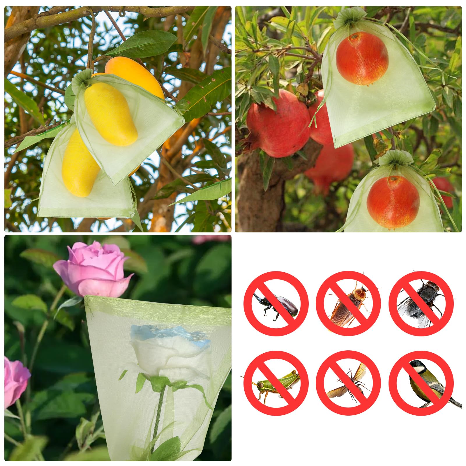 Amazon.com : 100 Pcs Fruit Protection Bags 6x9 Inch Fruit Amazon.com : 100 Pcs Fruit Protection Bags 6x9 Inch Fruit