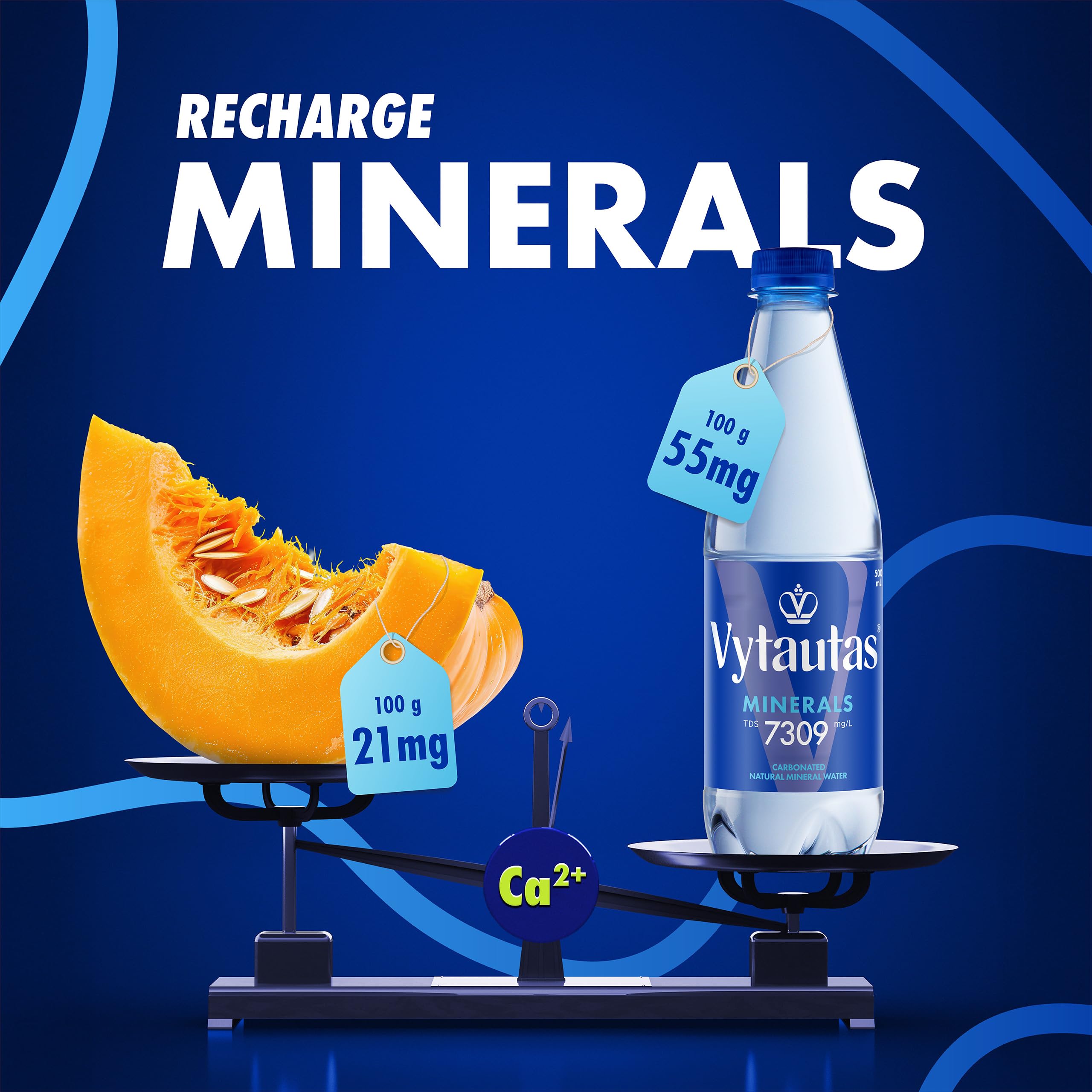 Vytautas Acqua Minerale Naturale Frizzante Confezione da 12 da 500 ml per un'idratazione Massima Ricca di Minerali Essenziali come Calcio, Magnesio, un'acqua Funzionale con Elevata Mineralizzazione