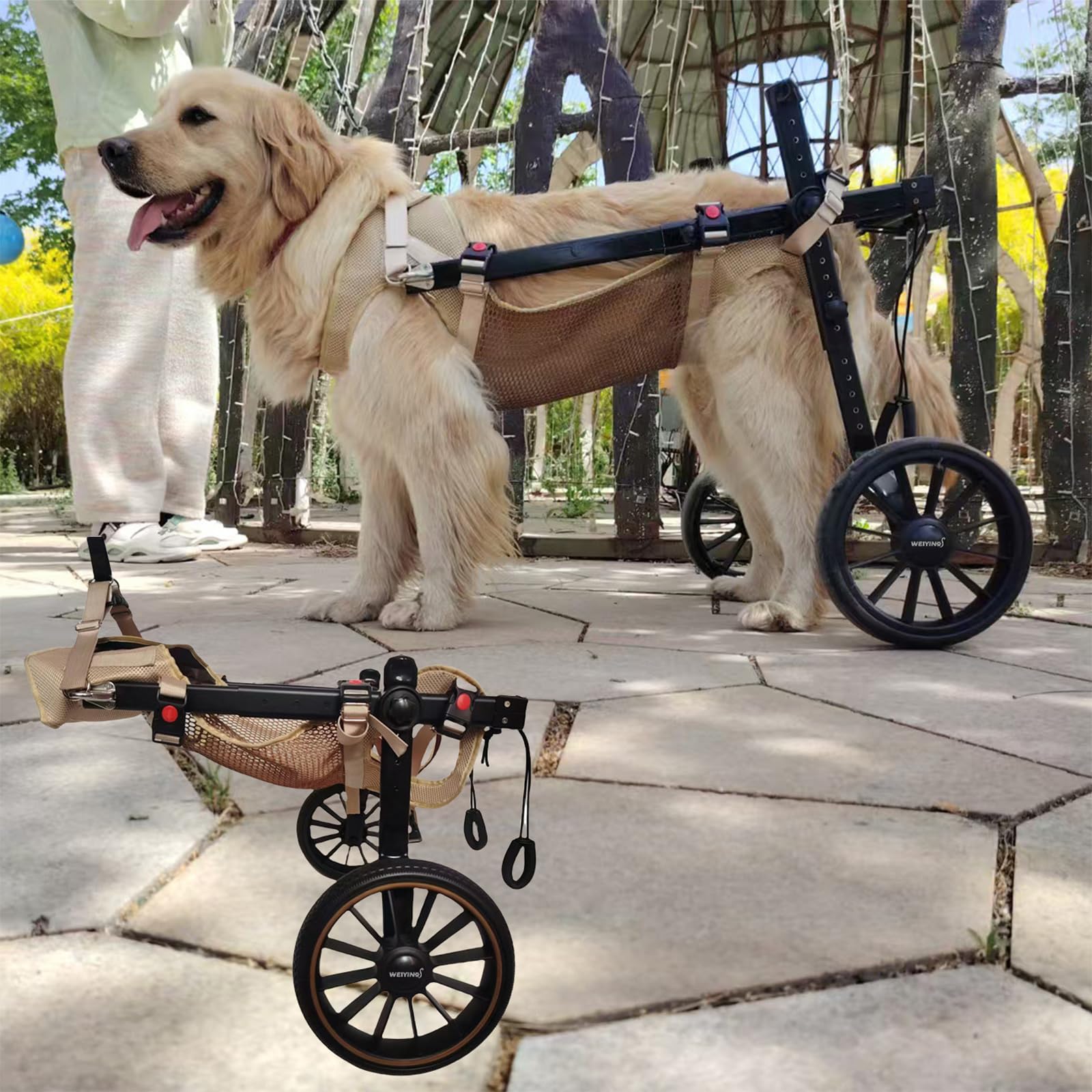 Fauteuil Roulant Pour Chien,Pattes ArrièRe,2 Roues Chien,Attelle D'Exercice Marcheur Handicapé,Aide à La Marche Avant BlesséEs/ParalyséEs,Pour Chariot Animaux Petite,Moyenne Et Grande Taille(XL,Blue)