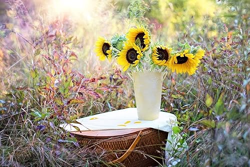 Miniatura 10 de Juego de paquetes de semillas de flores a granel, ideal para crear el jardín de tus sueños. (50, amapola - maíz rojo)